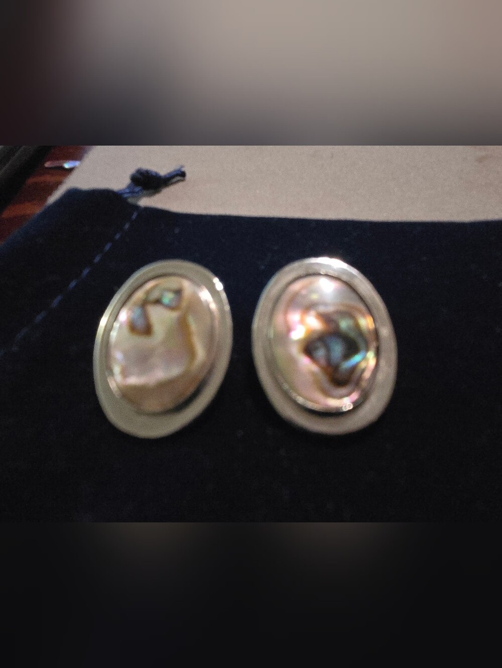 Vintage Silver-Tone Abalone Inset Design Earrings